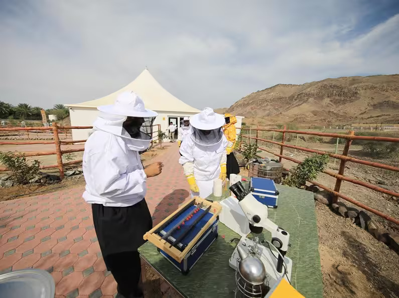 Hatta Honey Festival 2021