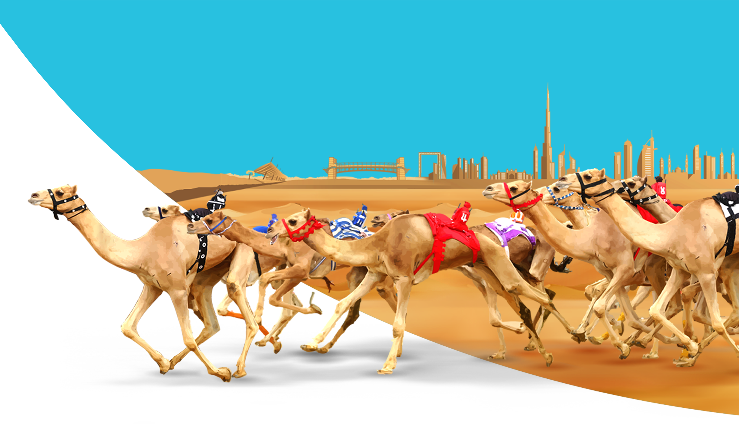 SPORTS Dubai Crown Prince Camel Festival