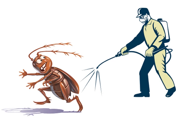 Book cockroach pest control in Dubai