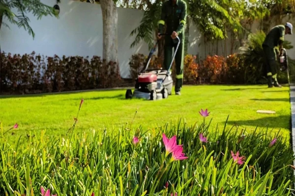 Looking for gardening companies in Dubai?