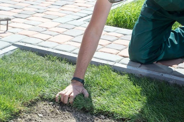 Need help with grass or artificial lawns?