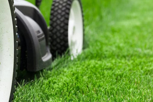 Need help with grass or artificial lawns?