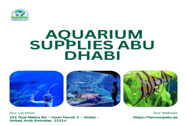 Top Aquarium Supplies in Abu Dhabi – Famous Pets.